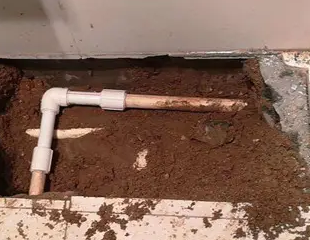 太子河测漏水哪家好