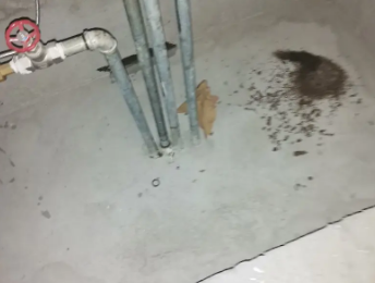 太子河卫生间测漏水价格明细