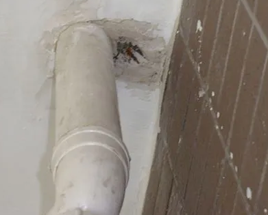 太子河漏水检测哪家好